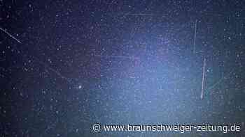 Experiment in Schwerelosigkeit: Kapsel bringt Schimmelpilz ins All