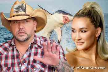 Jason Aldean + Wife Encountered a Shark While on Vacation! [Picture]