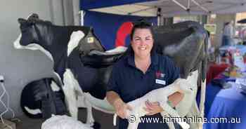 'She has a 35kg calf inside her': life-size birthing simulator on show