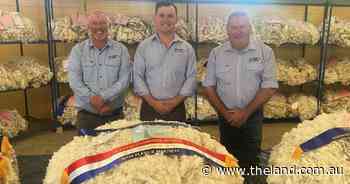 Canberra Royal 2025: Heavy fine fleece takes the win in wool contest