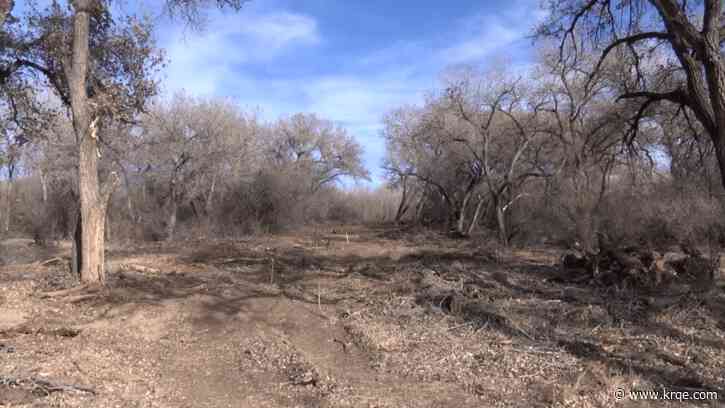 'Nobody wants to see the bosque destroyed': Neighbors voice concerns over Los Lunas project