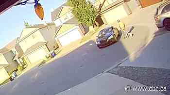 'Who hired you?': Crown suggests murder-for-hire in cross-exam of accused killer