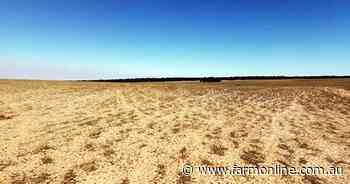 Large Murray-Mallee farm sells for no nonsense price of $1 million