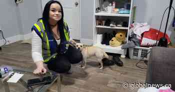 Family of woman who died in B.C. home-share says officials ignored concerns