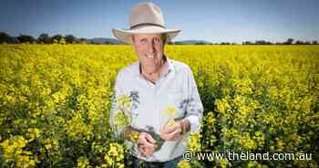 Former councillor and egg farmer slapped with costly fine after worksite injury