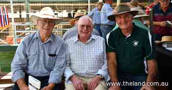 Faces at the 2025 Great Southern Supreme Merino show | Photo Gallery