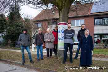 Laatste dagen 60 jaar oude bomen in deze wijk lijken geteld, en dat breekt de harten van de bewoners: “Er wordt niet naar ons geluisterd”