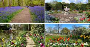 The park with a stunning bluebell walk that’s just 45 minutes drive from Beckenham