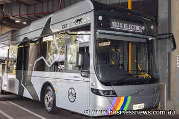 Cook makes EV bus building pitch