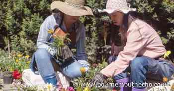 Wimborne spring show to include cookery, floral art and photography