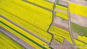 Vermögen: Warum Alleinerben die Wirtschaft schwächen