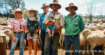Mega gallery: Faces at the Parkes, Trundle and Condobolin flock ewe comps