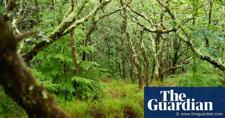 Plants losing appetite for carbon dioxide amid effects of warming climate