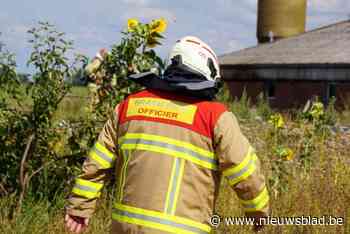 Middelkerkse brandweer zoekt 7 nieuwe vrijwilligers en organiseert infosessie