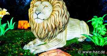 Verlosung: Karten für Lichterfestival im Serengeti Park zu gewinnen