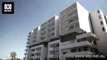 'Disturbing' report finds top strata firm potentially broke the law