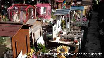 Friedhof der Haustiere: Attraktion mit Gruselfaktor vor dem Aus