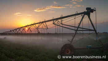 Egypte: de aardappelgigant van het Midden-Oosten