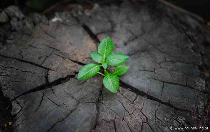 Waarom veerkracht er ook toe doet in jouw werk
