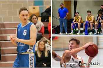 BASKETBABBELS. Panters Baasrode blijft foutloos, Janik Van Impe verlaat Black Boys Erpe-Mere en Scheldejeugd Temse zet de puntjes op de i