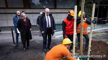 Gualtieri pianta nuovi alberi ai Parioli. Ce ne saranno oltre 500