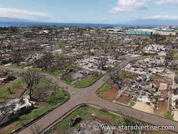 131 Maui fire survivors laid off after federal funding cut