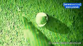 Pentagon issues bombshell announcement about egg-shaped UFO case