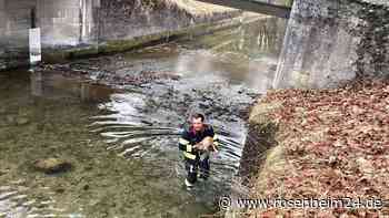 Betagter Vierbeiner stürzt in München in Kanal - von Feuerwehr gerettet