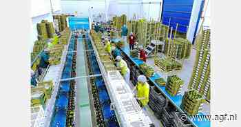 "Van elke avocado of lime worden 150 foto's gemaakt"