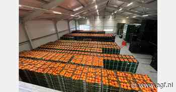 "Essentieel om afnemers te informeren voor onze rassen verder overschaduwd worden door groeiende volumes kiloknallers"