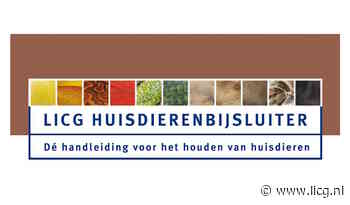 Meer gedumpte dieren op kinderboerderijen: Denk goed na voordat je een huisdier neemt!