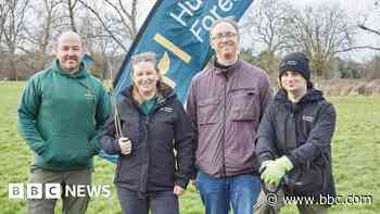 Volunteers plant hundreds of trees in city park