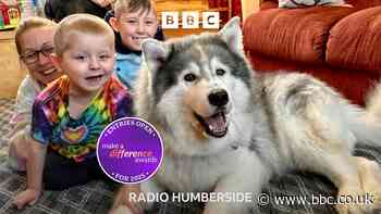 The Hornsea dog bringing joy in tough times