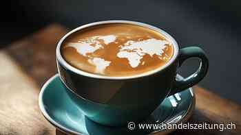 Der bittere Preis des Kaffees