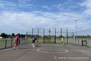 Park Ten Hove krijgt nieuw omnisportterrein, maar graffitimuur verdwijnt voorlopig