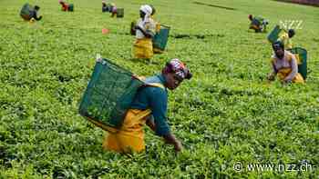 KURZMELDUNGEN - Wirtschaft: EU-Kommission will Umsetzung des Lieferkettengesetzes um ein Jahr verschieben