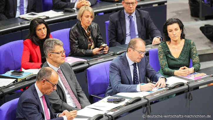 Merz' Fragenkatalog zu NGO-Finanzierung empört Linke, SPD und Grüne: "Frontalangriff auf die Demokratie"