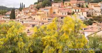 Côte d’Azur in der Nebensaison: So schön ist die Mimosenroute