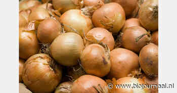 "Verbetering van teelt en opslag noodzakelijk"