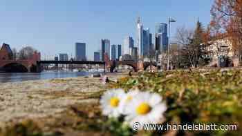 Finanzaufsicht: Bafin prüft Erleichterungen für kleinere Banken