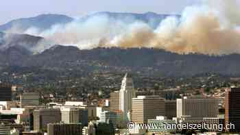 Munich Re meldet Rekordgewinn und Rekorddividende