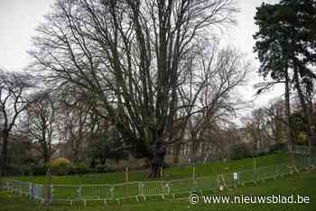 Jonge moeder ontsnapt aan verkrachter in park van Vorst: “Hij wurgde me terwijl ik met baby in draagdoek wandelde”