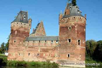 Kasteel van Beersel blijkt toevluchtsoord voor vleermuizen: “Geen tocht en vocht, ideaal dus”