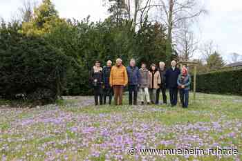 Friedhof Holthausen - Termin mit der Bürgerschaft