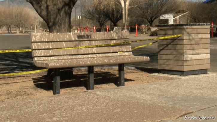 Bird invasion forces New Mexico Veterans Memorial to close