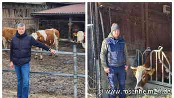 „Dann hören wir definitiv mit Bio auf“: Landwirte aus dem Landkreis Mühldorf zur neuen Weidepflicht