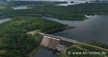 Panamakanal: Mehr Raubfische aus dem Meer verdrängen Süßwasserarten