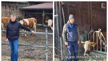 „Dann hören wir definitiv mit Bio auf“: Landwirte aus dem Landkreis Mühldorf zur neuen Weidepflicht