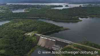 Gefahr im Panamakanal: Raubfische breiten sich aus