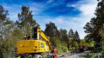 Aufreger im Kreis Calw: Fledermaus-Schutz geht bei Hesse-Bahn ins Geld